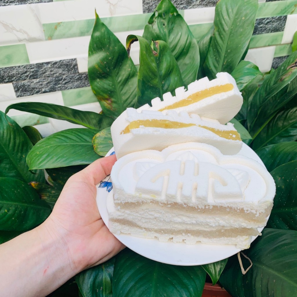 Combo 5 bánh in ( 3 nhân dừa non, 2 nhân đậu xanh ) hiệu NGUYỆT nhà Mlem Food.