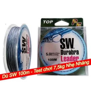 Dù pe câu cá daiwa sw chống xoắn siêu bền 100m - docauca94