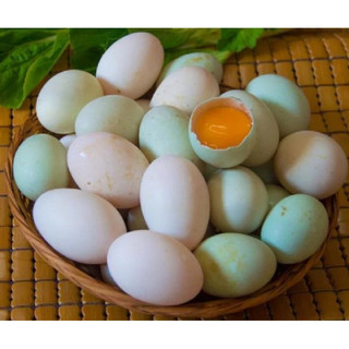 10 quả trứng vịt sống vân đình to, ngon, luôn mới