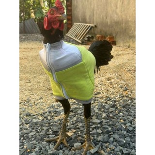 Thú bông 3D - GÀ ĐÁ, GÀ TẬP LỰC 🐓