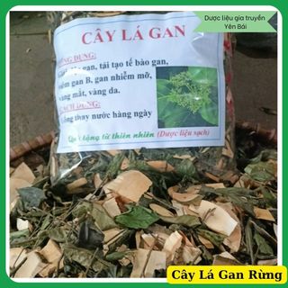 Cây Lá Gan, Lá Mát Gan chuẩn Rừng Tây Bắc giúp mát gan thanh lọc cơ thể detox