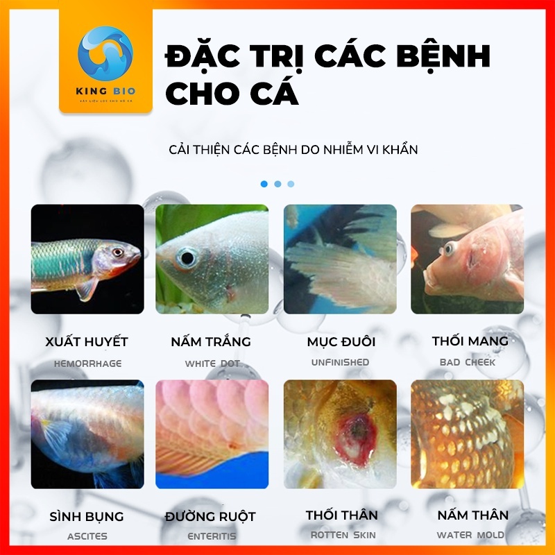 Yee Methylene Blue - Methylene xanh trị bệnh ngoài da cho cá