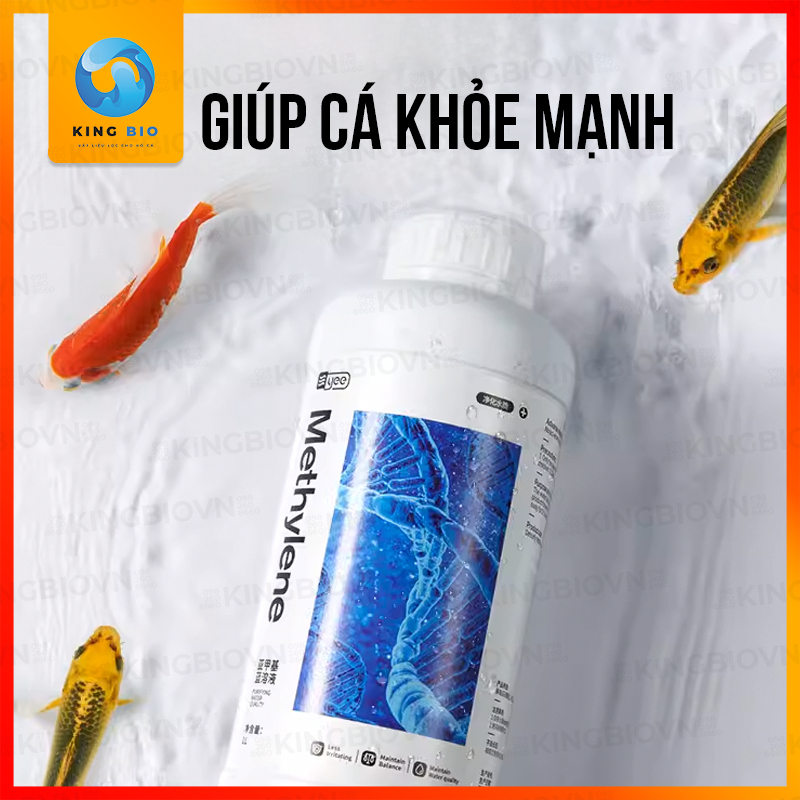 Yee Methylene Blue - Methylene xanh trị bệnh ngoài da cho cá