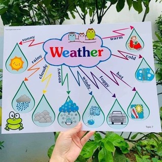 Set 11 Chủ đề Sơ đồ Tư Duy Mindmap