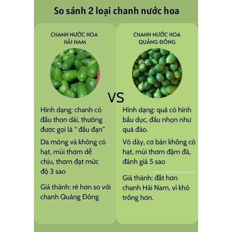 Chanh nước hoa Quảng Đông 500g