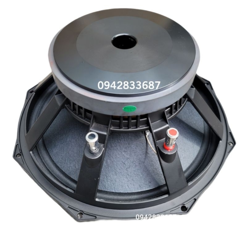 Bass 30 Coil 65 Từ 170 8omh