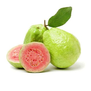 Cây ổi lê ruột đỏ đang trái