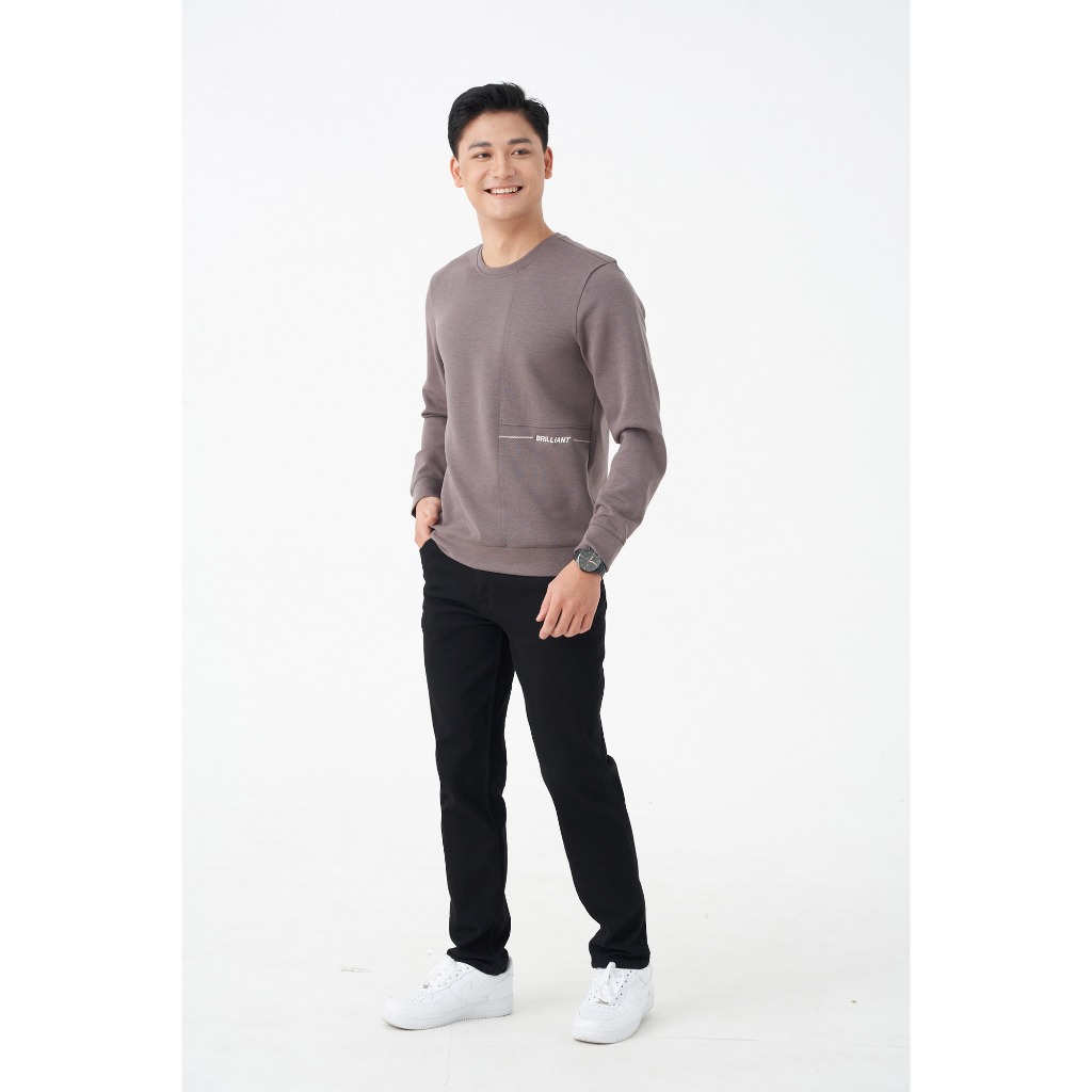 Áo Sweater Nam 5S FASHION Chất Nỉ Dày Dặn, Họa Tiết Thêu Nổi Bật, Màu Sắc Dễ Mặc (ANO23012)