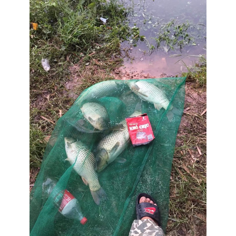 Mồi Câu Cá Khó Chịu Đỏ Chuyên Chép Gói 250g Dùng Câu Sông Hồ Dịch Vụ Các Loại Cá Tự Nhiên, Hàng Chính Hãng