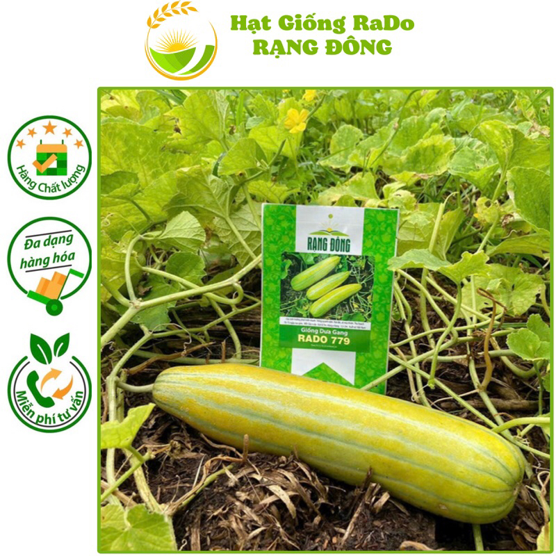 Hạt Giốn Dưa Gang RaDo 779 (Gói 1gram) Hạt Giống Rạng Đông