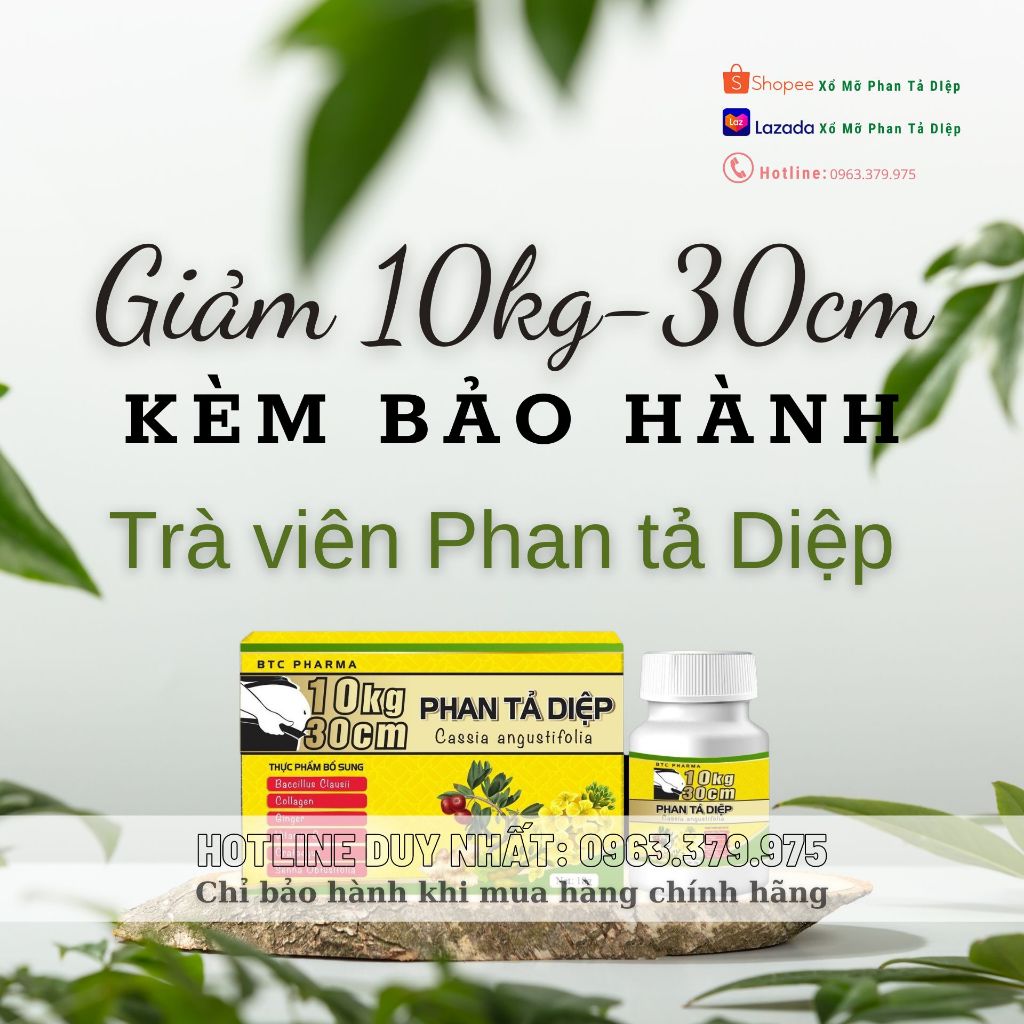 Xổ mỡ phan tả diệp Giảm cân nhanh kèm bảo hành