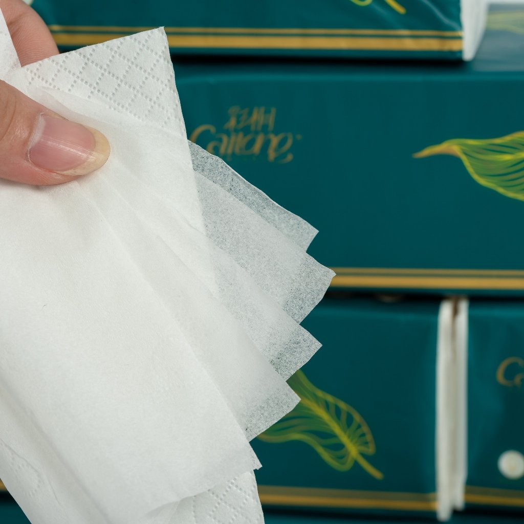 Giấy ăn dạng rút Caitong giấy ăn siêu dày, 5 lớp, mềm mịn màu xanh lá vàng