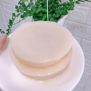 Scoby kèm nước mồi làm trà Kombucha - Beelogy