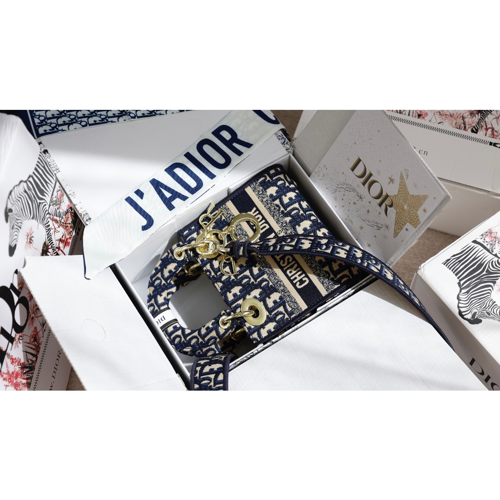 TÚI CD D-LITE SZ17-24