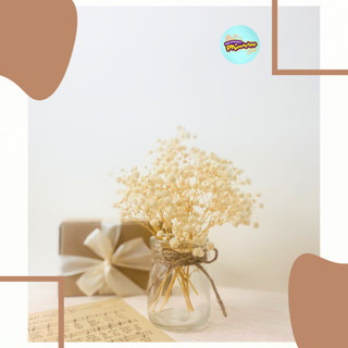 Lọ Thủy Tinh Mini Cắm Hoa, lọ hoa baby khô trang Trí, decor