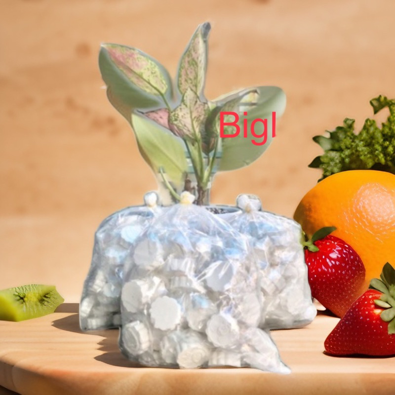 Bánh bột linh Bánh  phục Linh đặc sản bình định ,giòn thơm 0.5kg-biglove