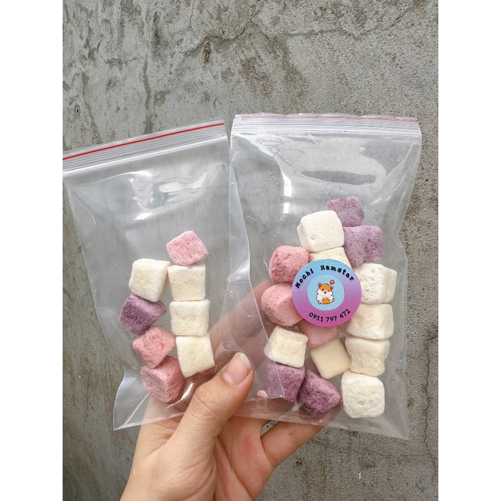Sữa chua sấy lạnh cho hamster [10gr / 20gr]