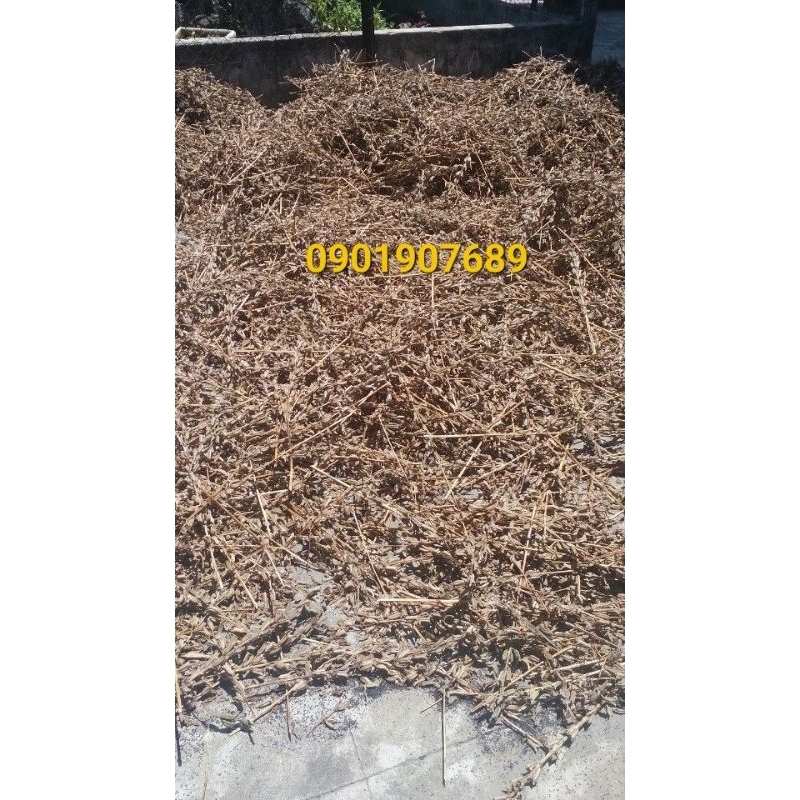 Dầu mè đen  250ml, dầu mè quê Quảng Ngãi tự ép 100% nguyên chất