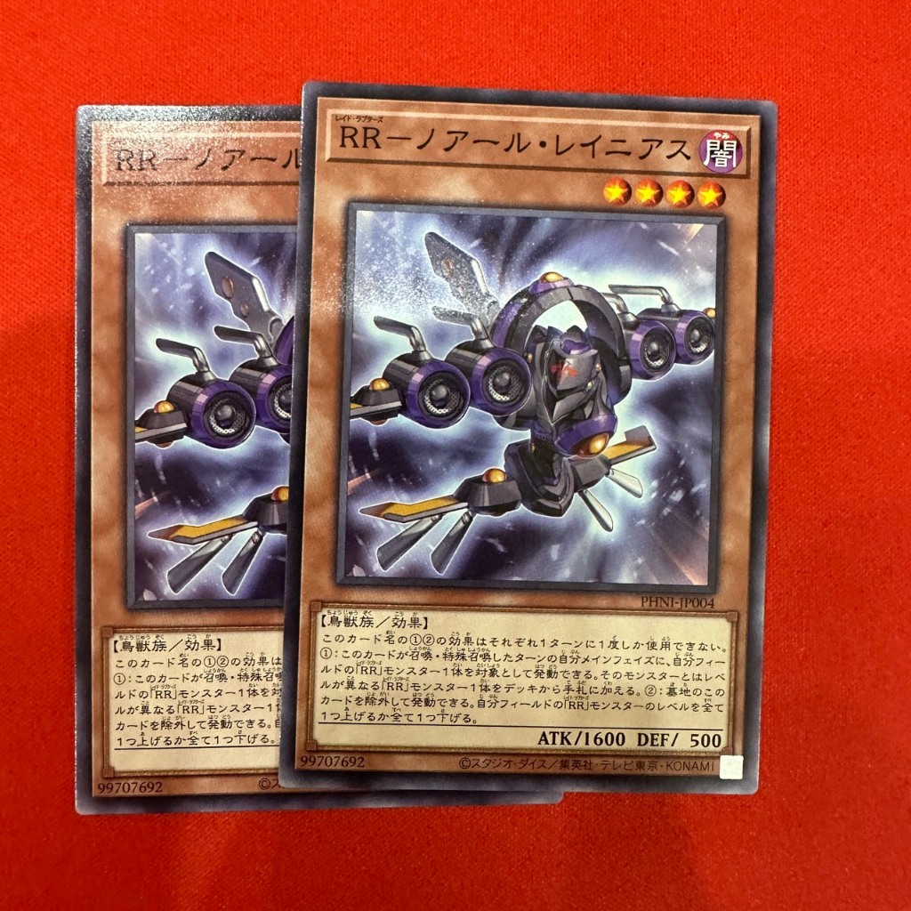 Raidraptor-Noir Lanius