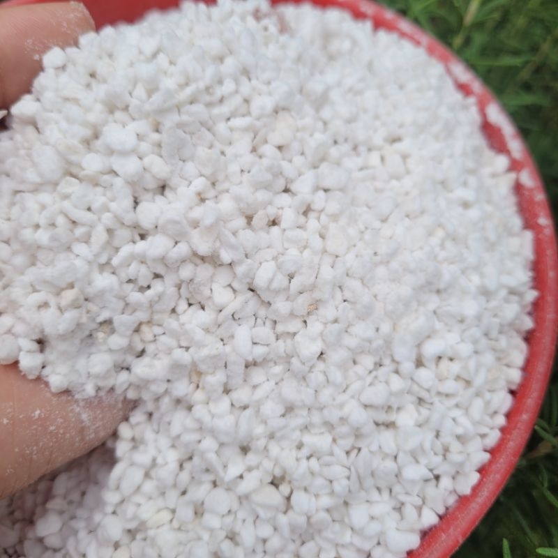 200gr đá perlite chuyên dùng cho sen đá vườn sen Đăk Lăk