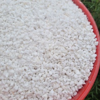 đá perlite túi 100g (1lít)