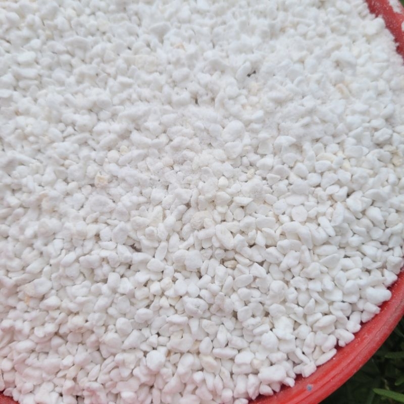 200gr đá perlite chuyên dùng cho sen đá vườn sen Đăk Lăk