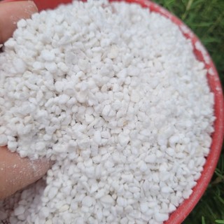 đá perlite túi 100g (1lít)