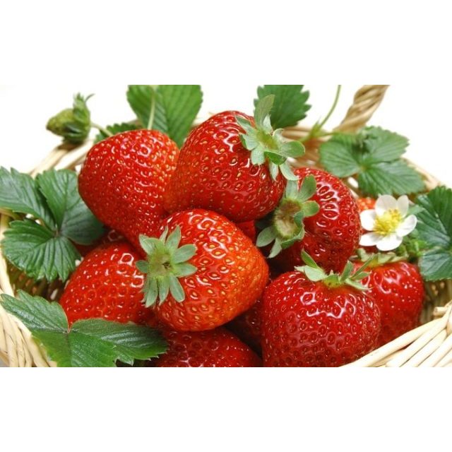 Dâu tây sấy dẻo không đường, dâu tây dẻo sấy lạnh, đẹp da, chống lão hoá, giảm cân