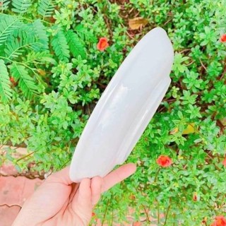 Dĩa Sứ Trắng tròn 8inch 20cm