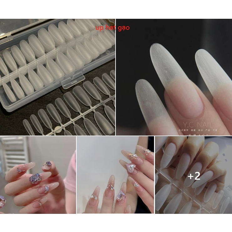 MÓNG UP HẠT GẠO THANG NHỌN HỘP 240 MÓNG OR LOẠI 300 MÓNG