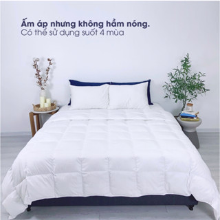 Ruột chăn lông vũ nhân tạo Microfiber Changmi Bedding cực êm