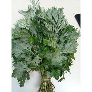 0,5kg cây ngải cứu tươi lá ngải cứu tươi hỏa tốc tại Sài Gòn 1h nhận hàng
