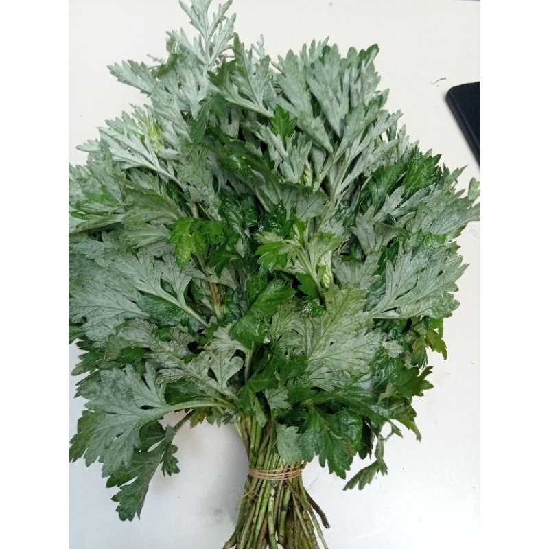 Cây Ngải Cứu tươi 1kg - lá ngải cứu tươi síp hoả tốc tại Sài Gòn 1h nhận hàng