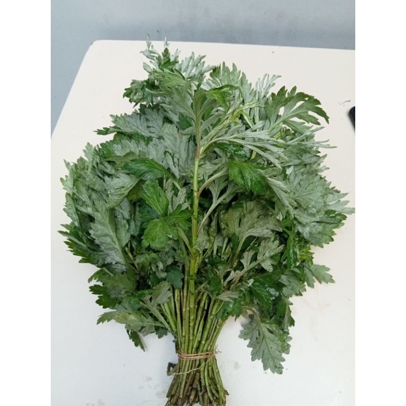 Cây Ngải Cứu tươi 1kg - lá ngải cứu tươi síp hoả tốc tại Sài Gòn 1h nhận hàng