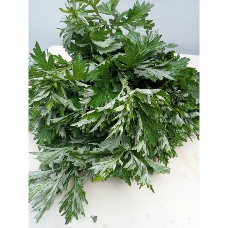 Cây Ngải Cứu tươi 1kg - lá ngải cứu tươi síp hoả tốc tại Sài Gòn 1h nhận hàng