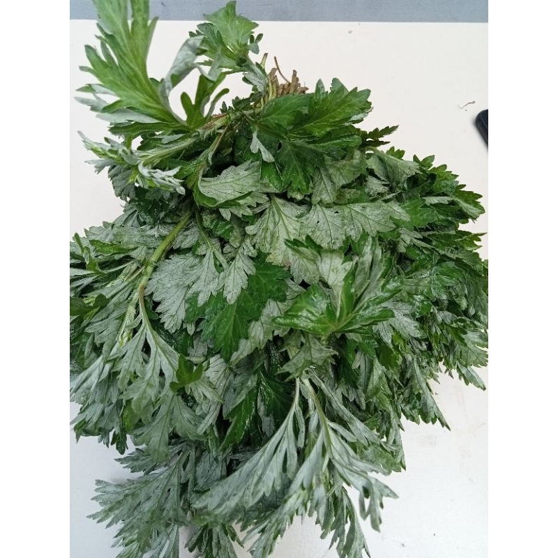 Cây Ngải Cứu tươi 1kg - lá ngải cứu tươi síp hoả tốc tại Sài Gòn 1h nhận hàng