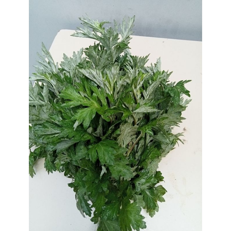 Cây Ngải Cứu tươi 1kg - lá ngải cứu tươi síp hoả tốc tại Sài Gòn 1h nhận hàng