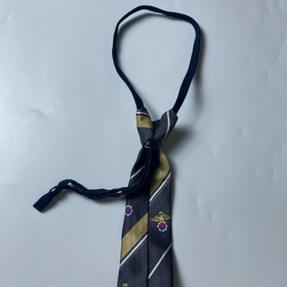 Cà vạt thắt sẵn nam
