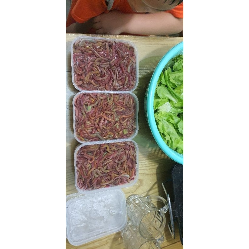 Rươi Tứ kì