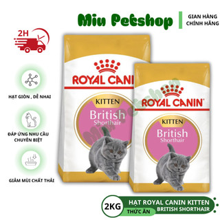 Hạt thức ăn cho mèo con. Royal canin britsh shorthair 2kg
