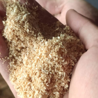 Mùn cưa thơm từ gỗ thông lót chuồng cho hamster