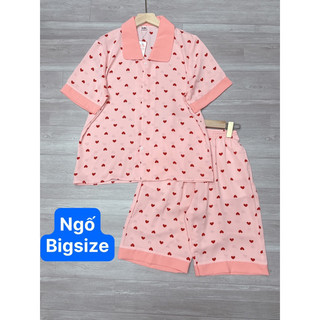 (55-75kg) bộ lửng mango loại 1, mác Silk