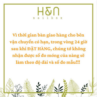 Nailbox Thiết kế Noel Merry Christmas (nhắn tin cho shop đo sz)