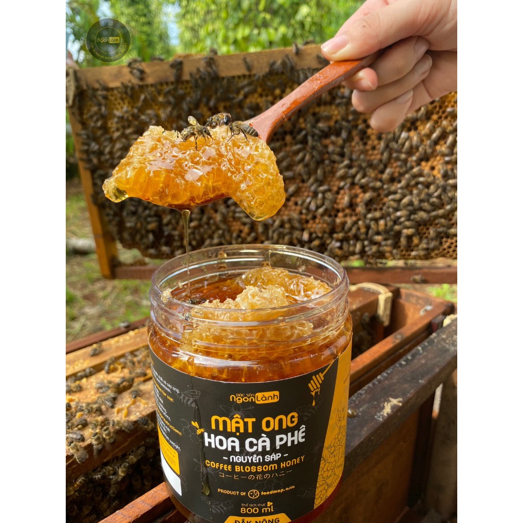 Mật ong nguyên chất hoa cà phê Ngon lành có bánh tổ
