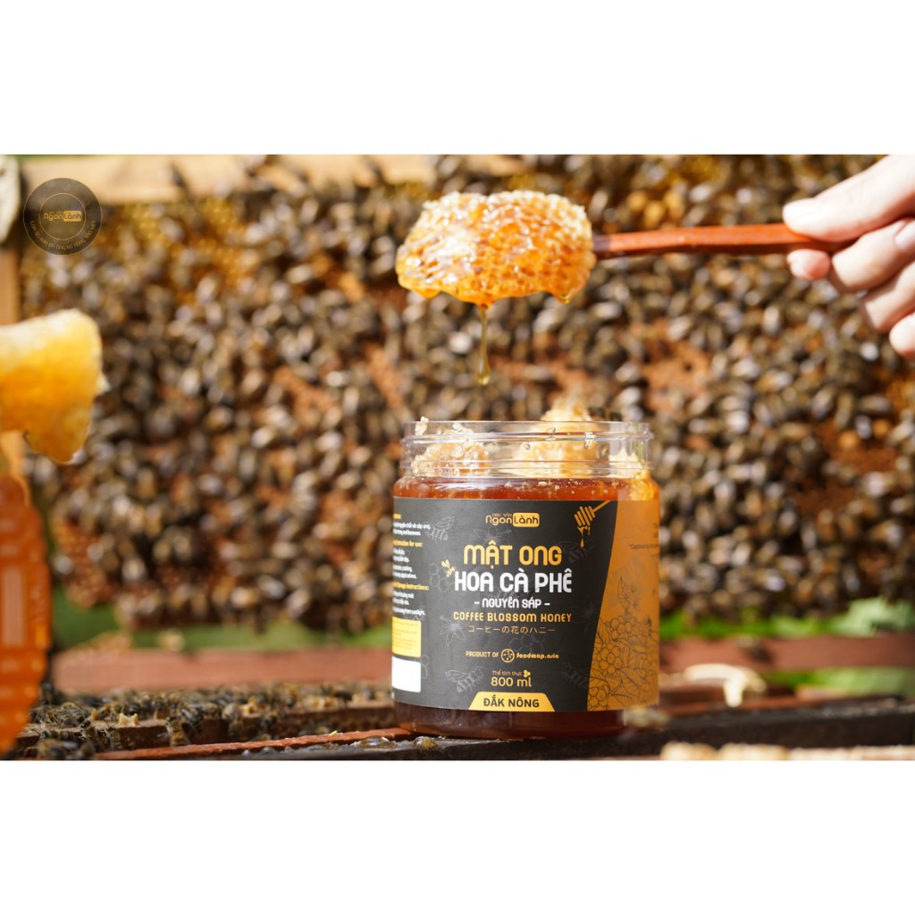 Mật ong nguyên chất hoa cà phê Ngon lành có bánh tổ