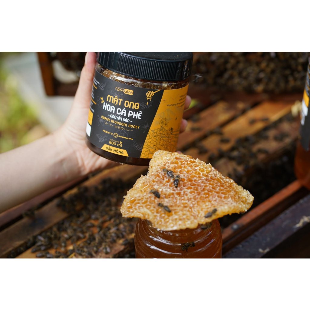 Mật ong nguyên chất hoa cà phê Ngon lành có bánh tổ