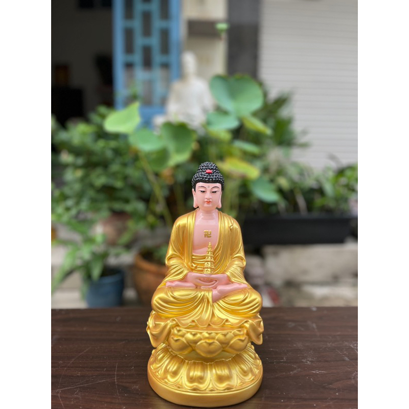 Tôn Tượng Dược Sư 30CM
