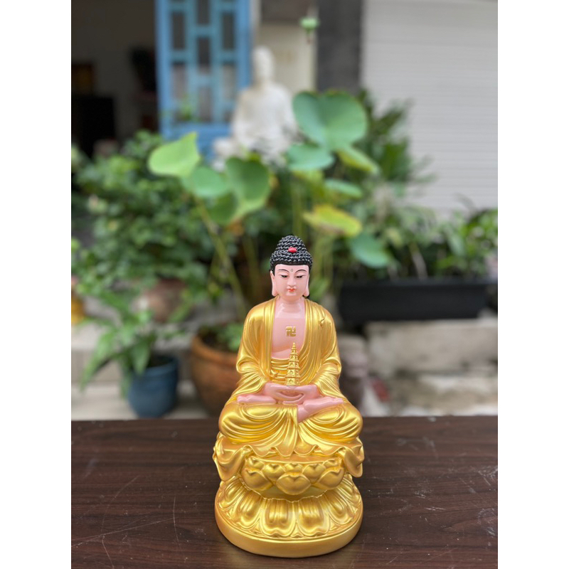 Tôn Tượng Dược Sư 30CM