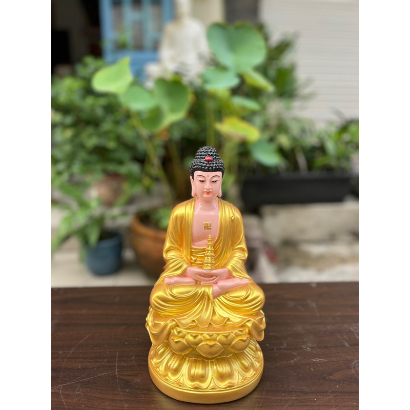 Tôn Tượng Dược Sư 30CM