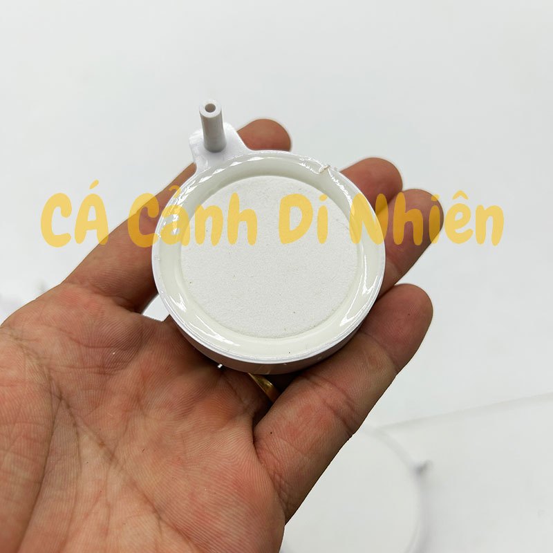 Sủi đĩa oxy siêu mịn Nano size 5cm-10cm cho hồ cá cảnh AIR STONE đá sủi mịn bể cá
